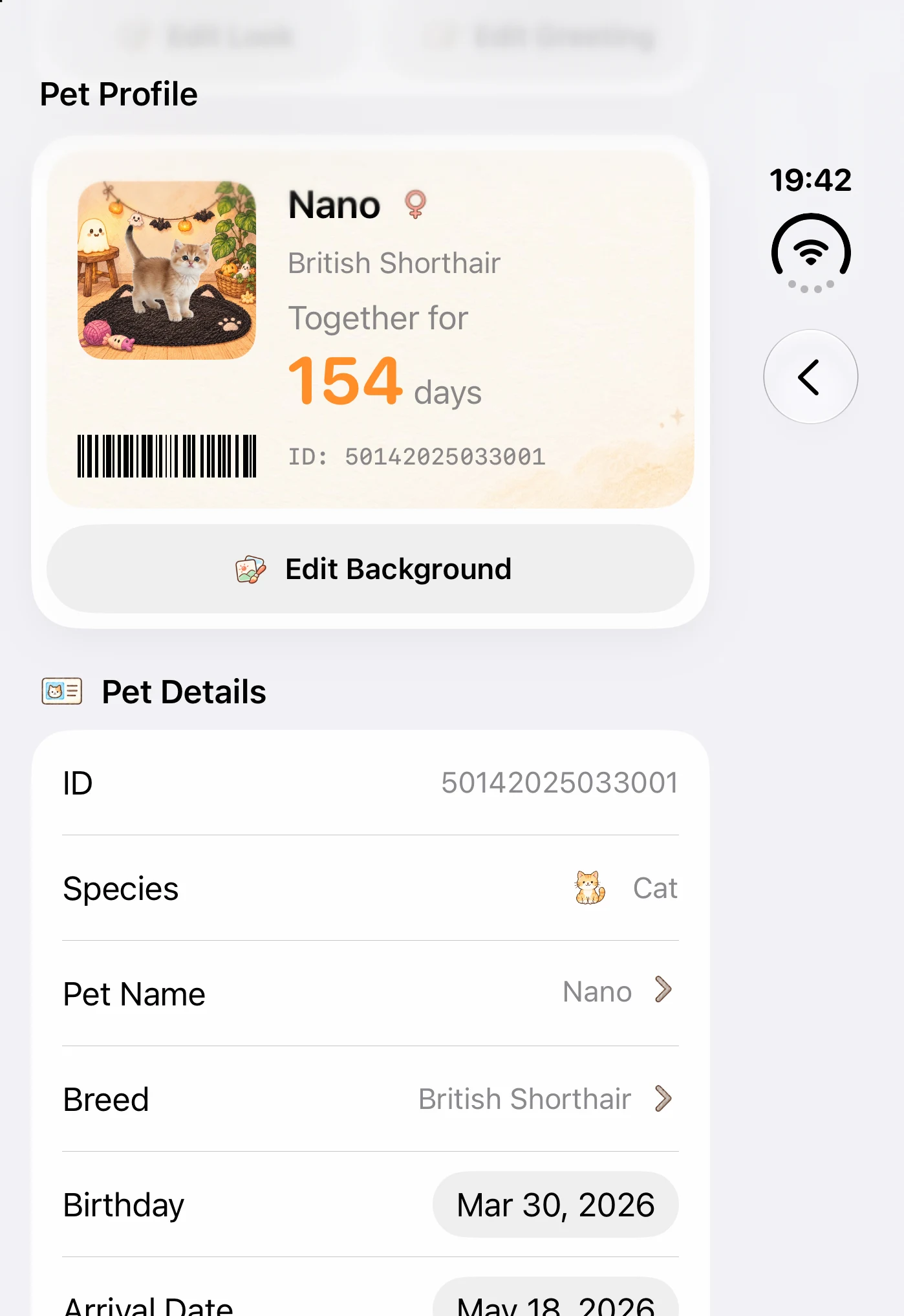 An English PetQiu pet profile showing a cat's name, species and birthday